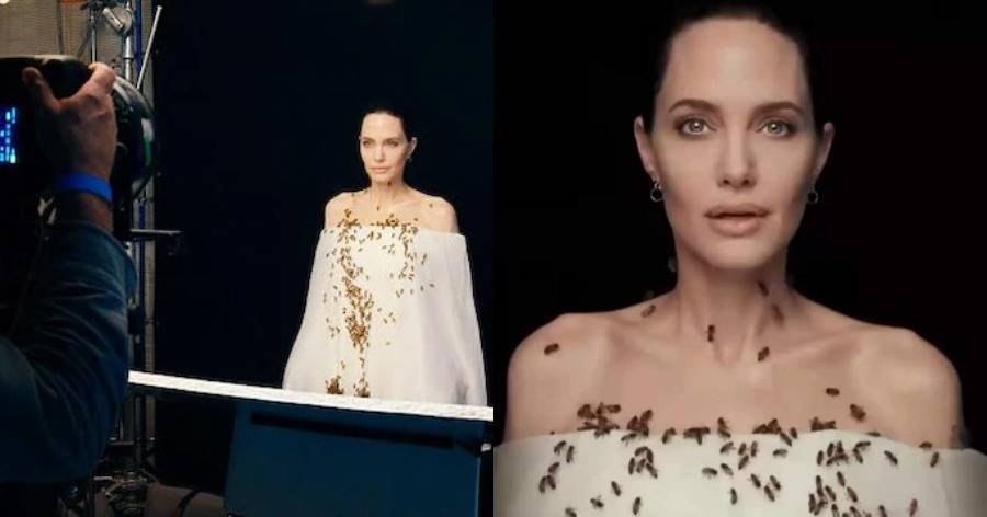 Angelina Jolie Covered With Bees For World Bee Day Nat Geo Photoshoot