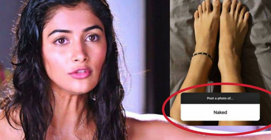 Pooja Hegde Replies To A Fan Who Asked For Her Nude Picture